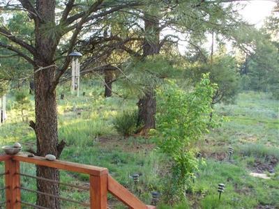 36 North Spitz Spring Road Parks, AZ 86046 - Photo 18 of 18 Additional Photo