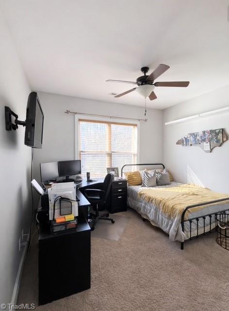 1235 Mountain Road Walnut Cove, NC 27052 - Photo 17 of 26