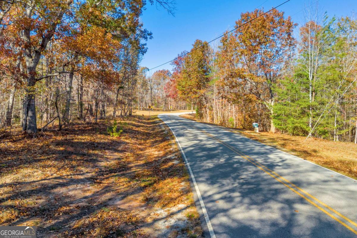 Lot 12 North Hicks Road Toccoa, GA 30577 - Photo 21 of 25