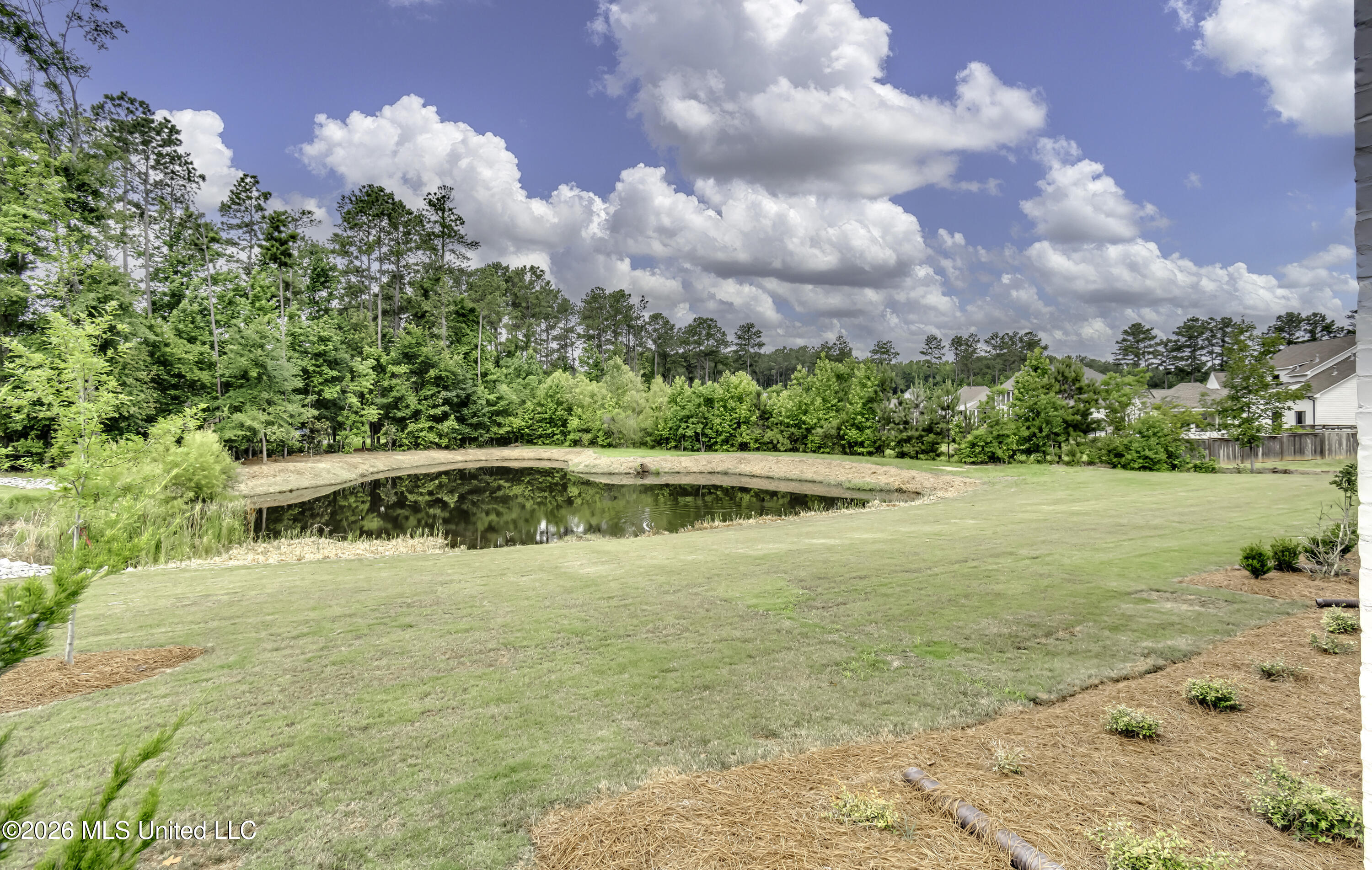 115 Hidden Glades Ridgeland, MS 39157 - Photo 9 of 65 Backyard