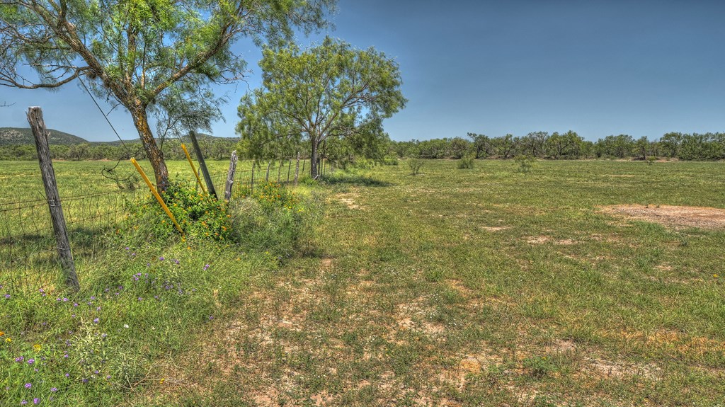 0 Rivertree Road Rio Frio, TX 78879 - Photo 15 of 20