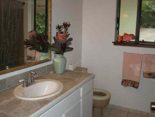 82-6107 Napoopoo Road Captain Cook, HI 96704 - Photo 15 of 20 Gallery Image 15