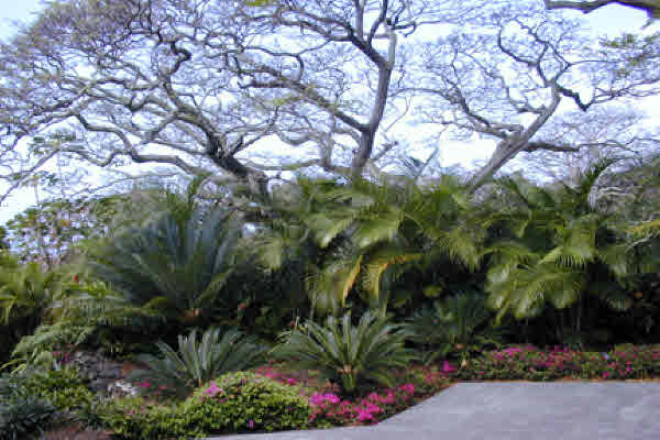 82-6107 Napoopoo Road Captain Cook, HI 96704 - Photo 20 of 20 Gallery Image 20