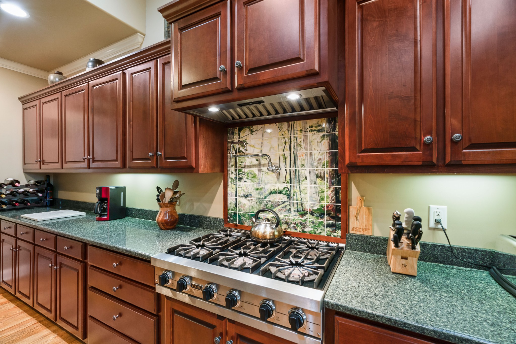 1976 Cooks Road Mount Juliet, TN 37122 - Photo 25 of 70 a kitchen with granite countertop stainless steel appliances stove and cabinets