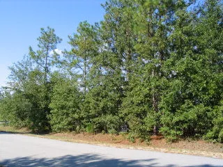 $40,000 | 0 Shore Drive, Unit LOT 30, Orangeburg, SC 29118