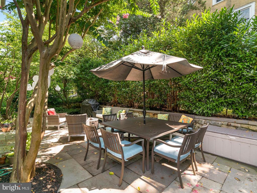4400 Elm Street Chevy Chase, MD 20815 - Photo 49 of 61 a view of backyard with seating space and trees