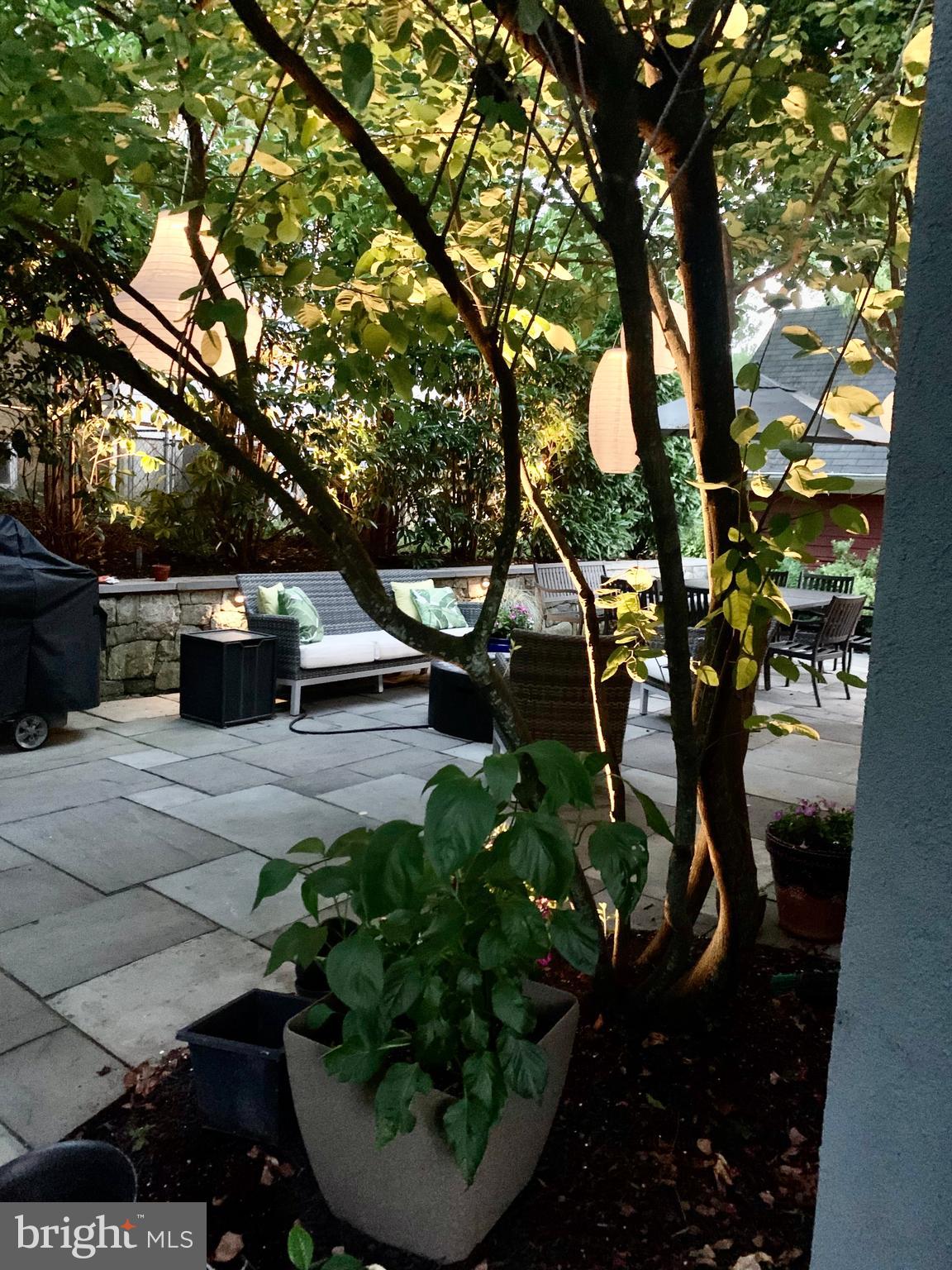 4400 Elm Street Chevy Chase, MD 20815 - Photo 58 of 61 a view of patio with plants and trees