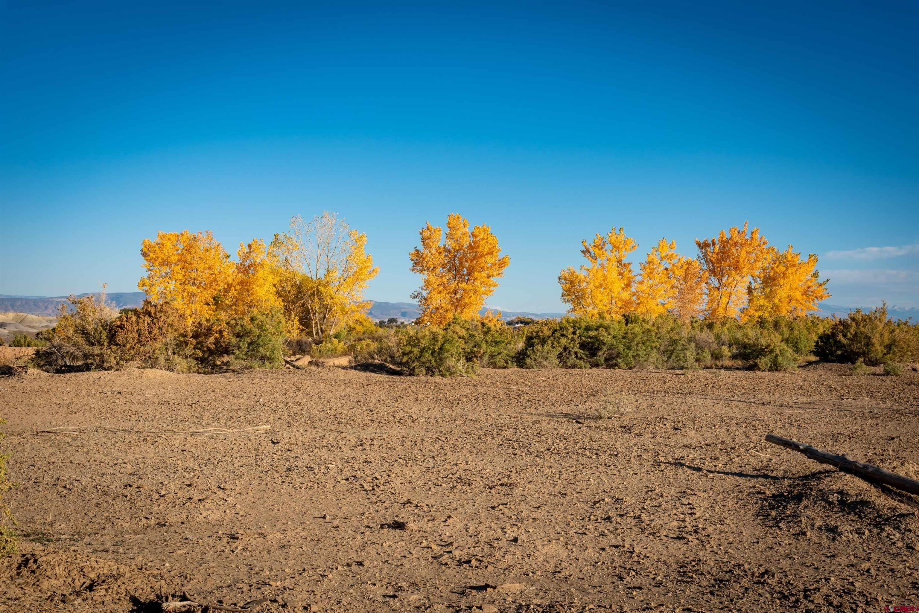 3945 Sundown Road Delta, CO 81416 - Photo 14 of 30 a view of dirt field with trees in background