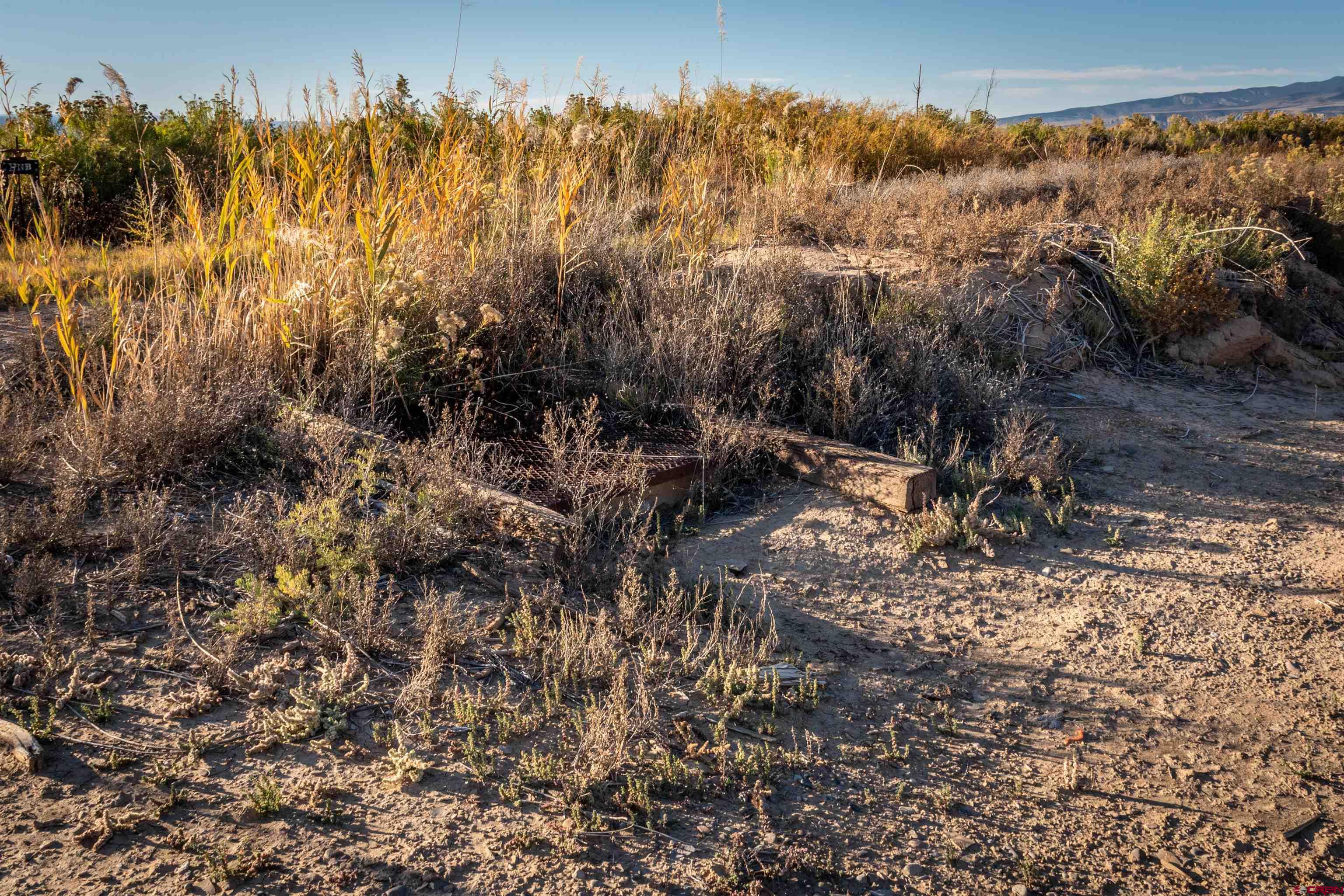 3945 Sundown Road Delta, CO 81416 - Photo 10 of 30 a view of a yard with a tree