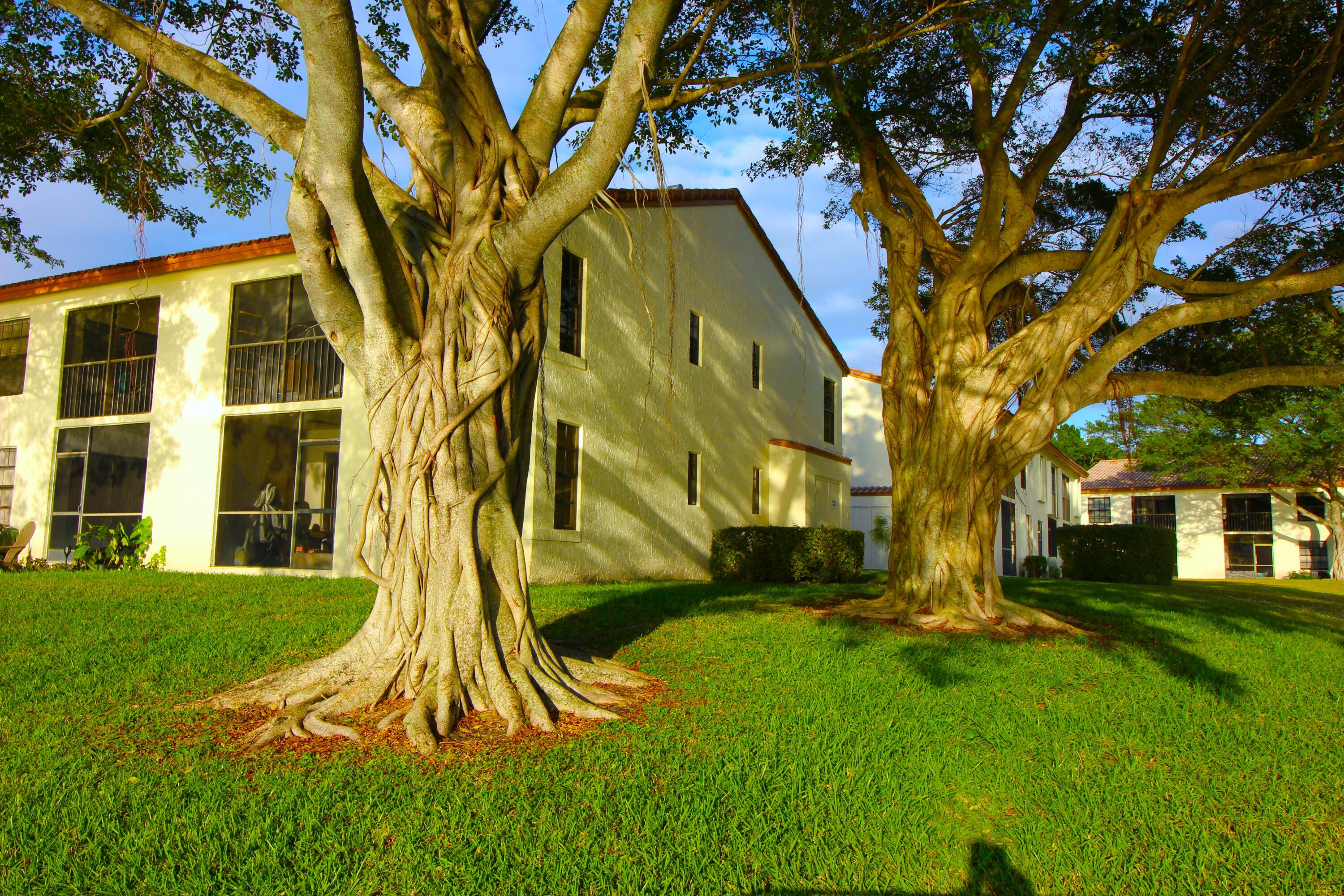 320 Olivewood Place, Unit O115 Boca Raton, FL 33431 - Photo 48 of 56 IMG_7462