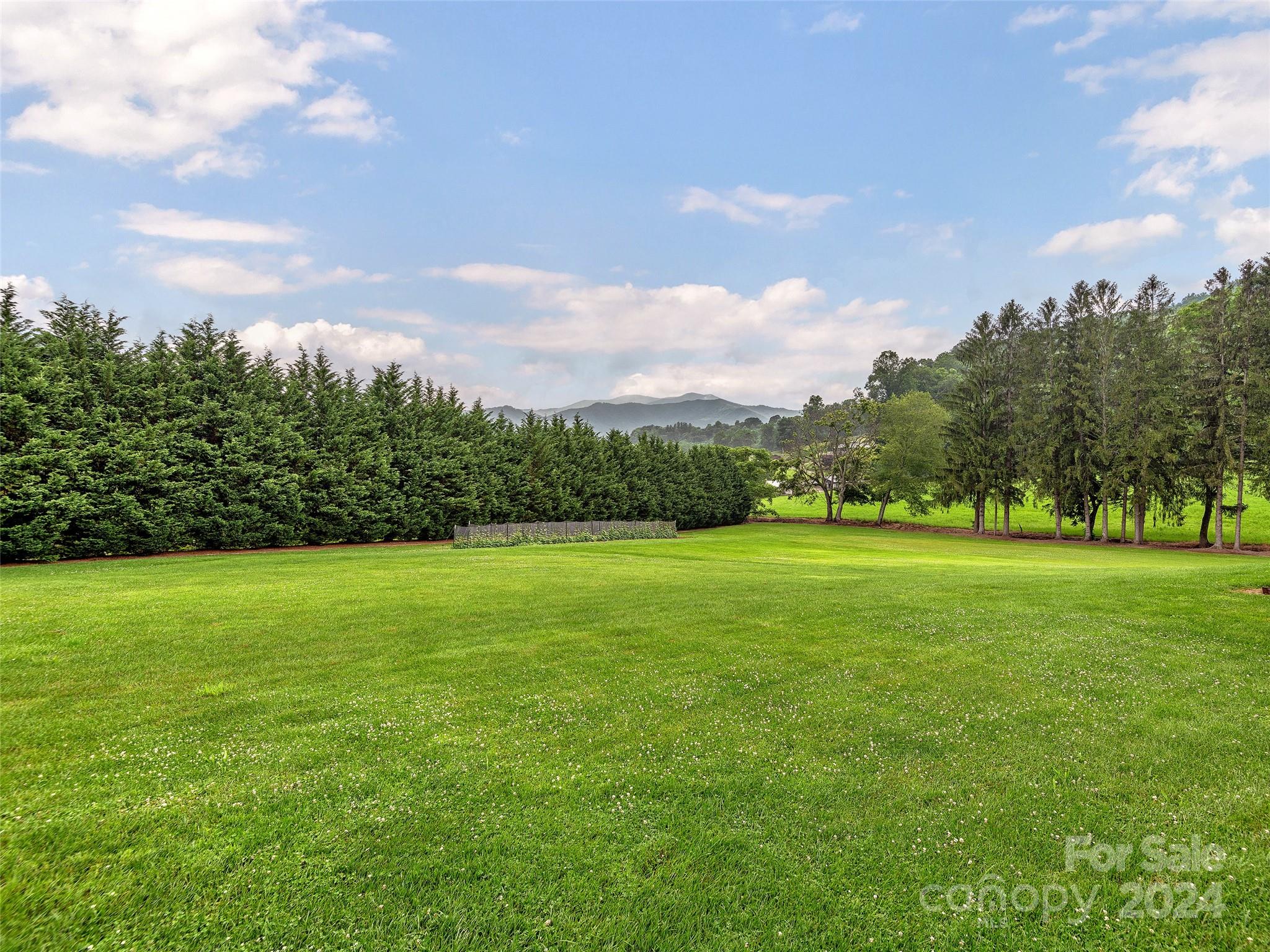 4198 Pigeon Road Waynesville, NC 28786 - Photo 33 of 39 Gallery Image 33