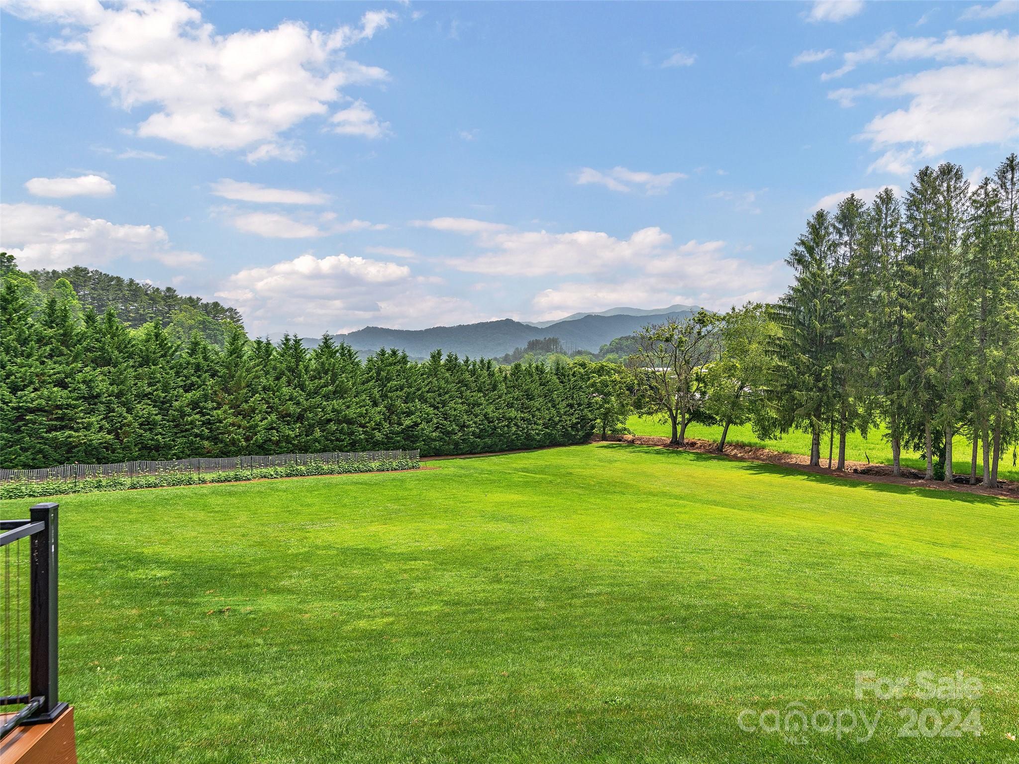 4198 Pigeon Road Waynesville, NC 28786 - Photo 36 of 39 Gallery Image 36