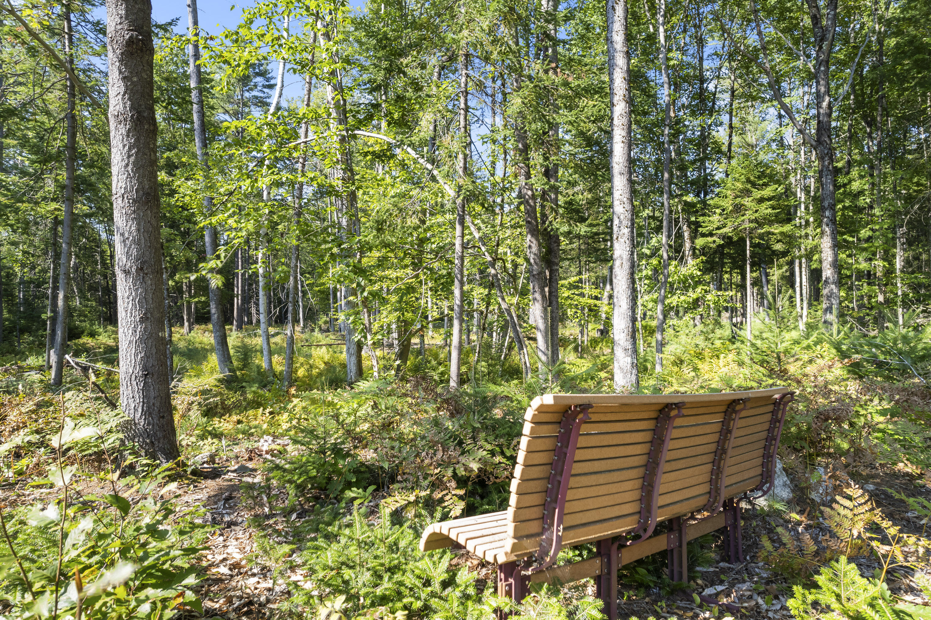 1020 Naples Road Harrison, ME 04040 - Photo 17 of 69 Bench By Thomes Brook