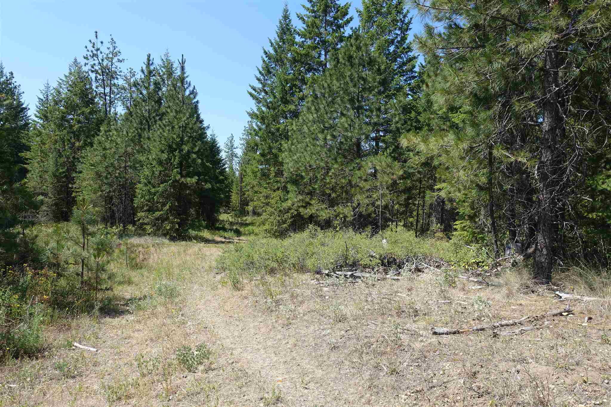 Xx Xx Chapin Road Evans, WA 99126 - Photo 1 of 14