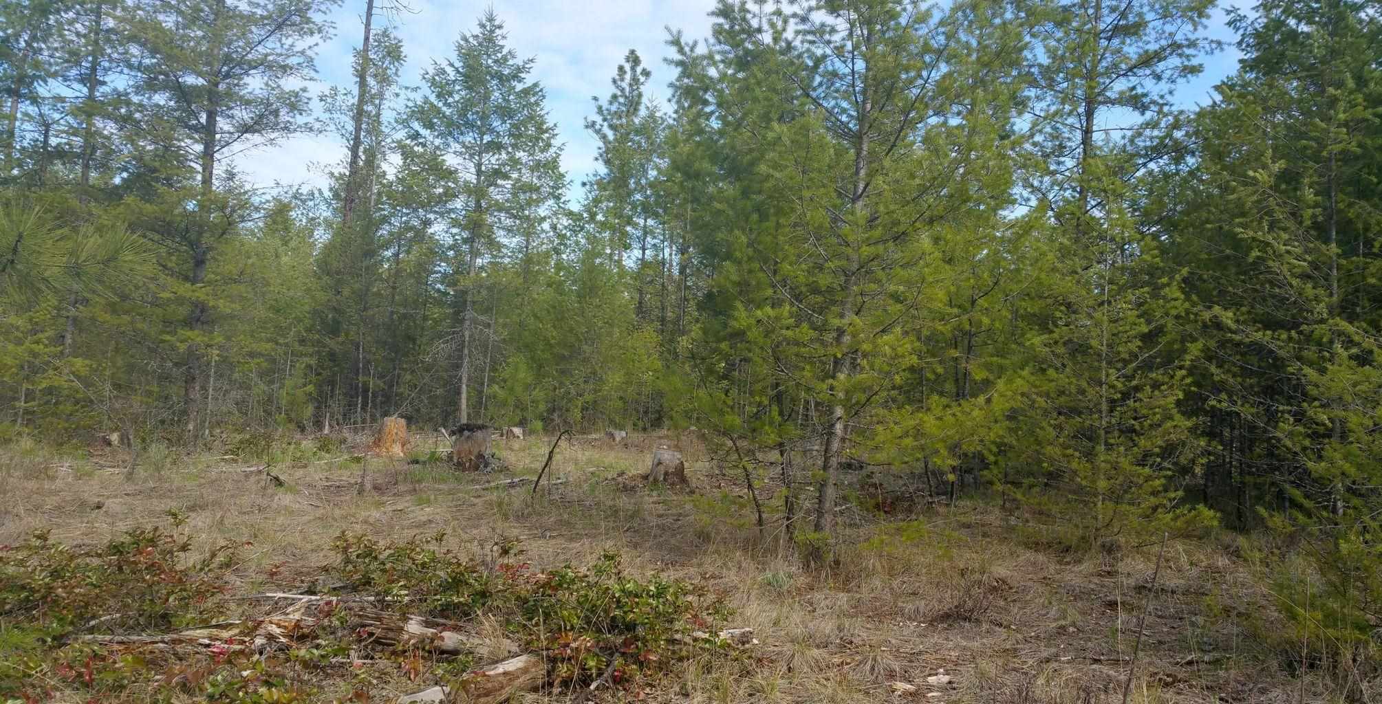 Xx Xx Chapin Road Evans, WA 99126 - Photo 12 of 14
