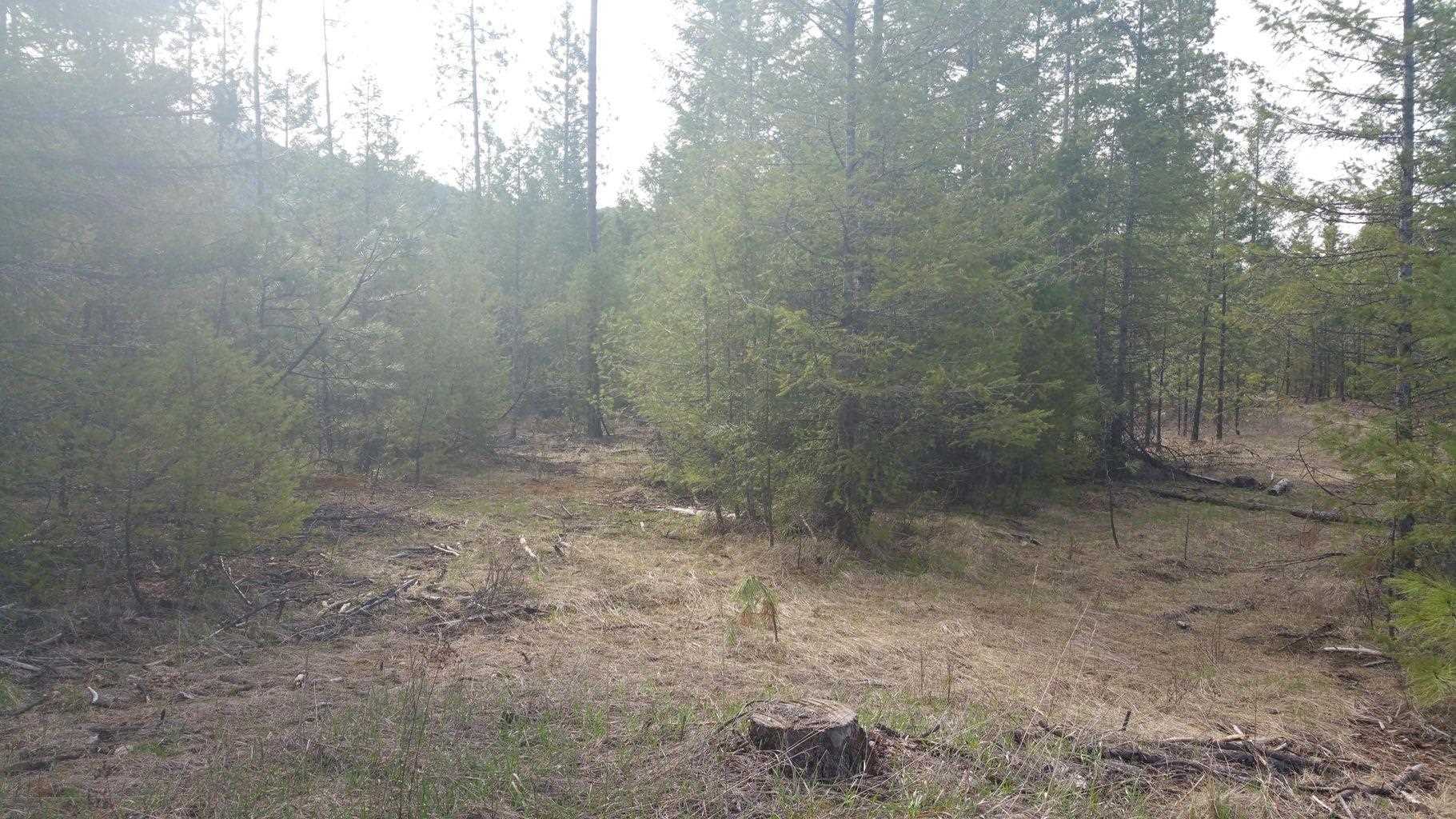 Xx Xx Chapin Road Evans, WA 99126 - Photo 13 of 14