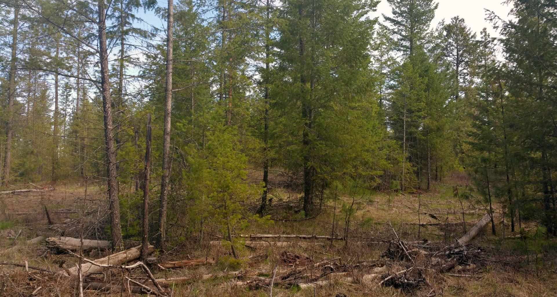 Xx Xx Chapin Road Evans, WA 99126 - Photo 14 of 14