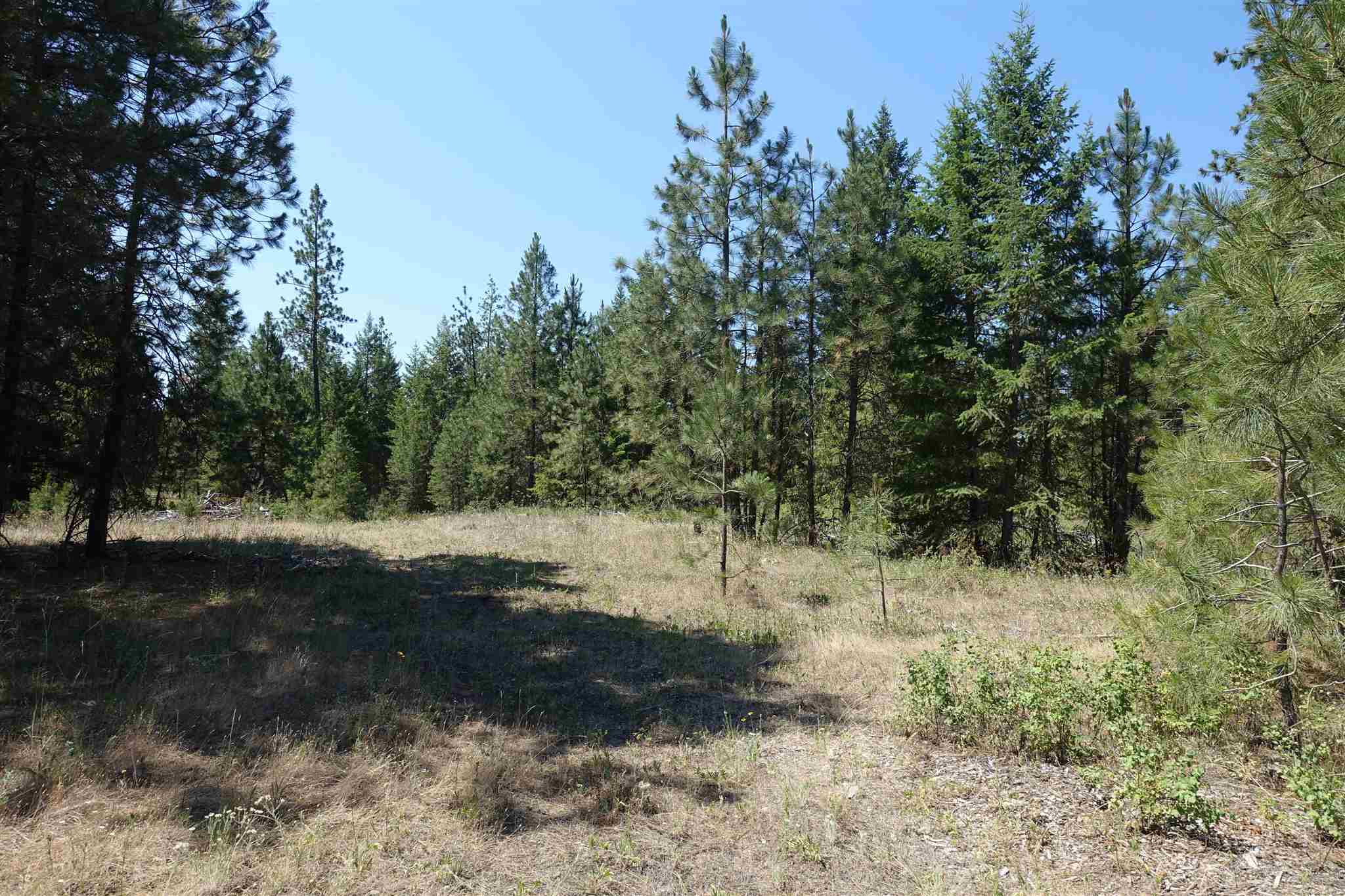 Xx Xx Chapin Road Evans, WA 99126 - Photo 3 of 14