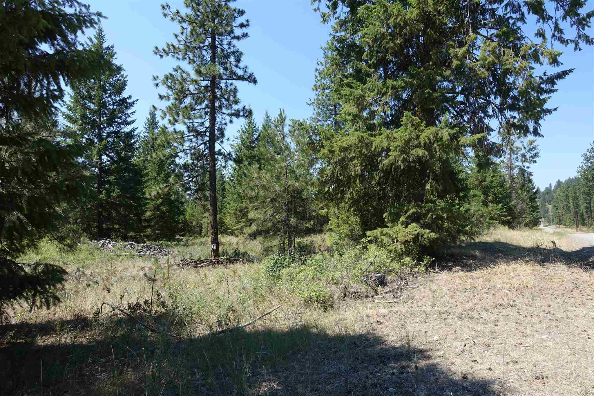 Xx Xx Chapin Road Evans, WA 99126 - Photo 4 of 14