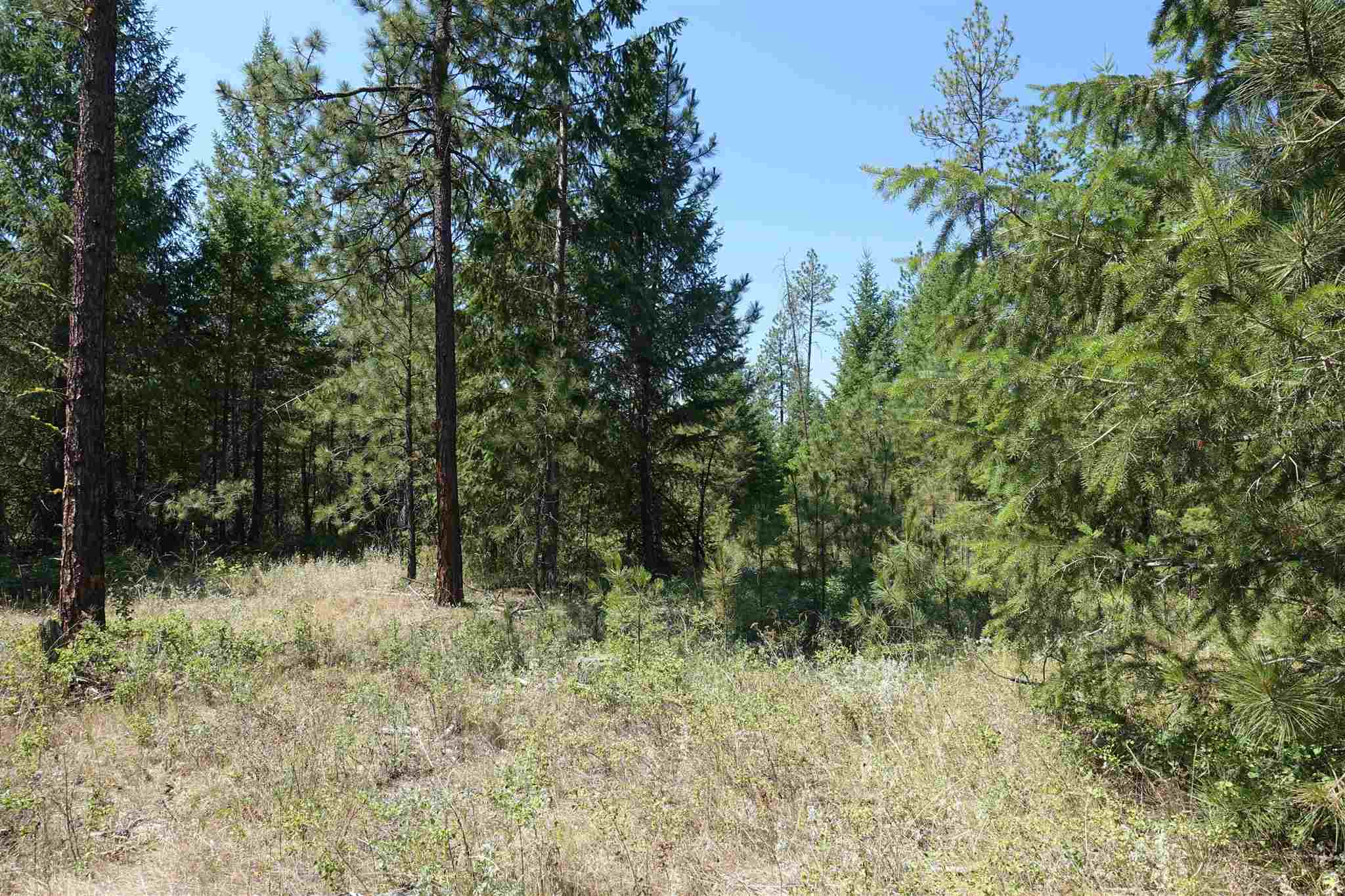 Xx Xx Chapin Road Evans, WA 99126 - Photo 5 of 14