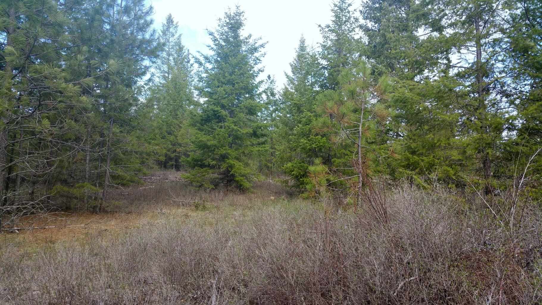 Xx Xx Chapin Road Evans, WA 99126 - Photo 6 of 14