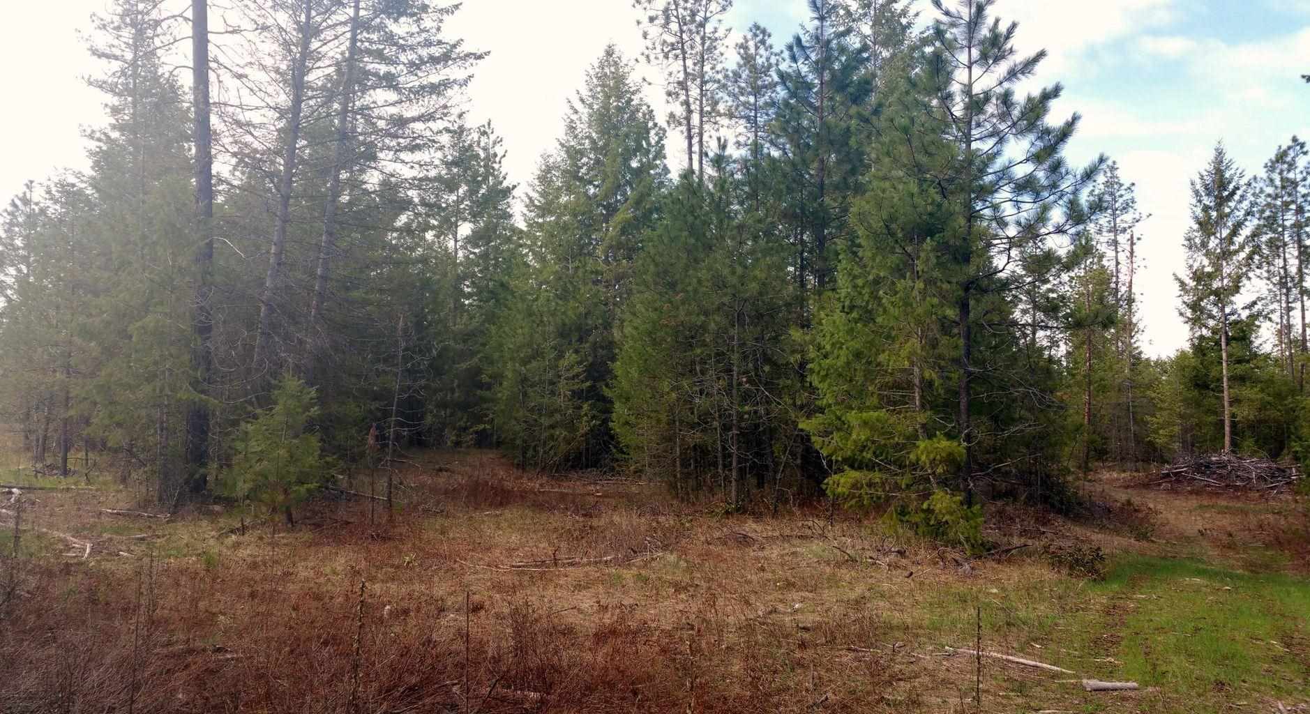 Xx Xx Chapin Road Evans, WA 99126 - Photo 8 of 14