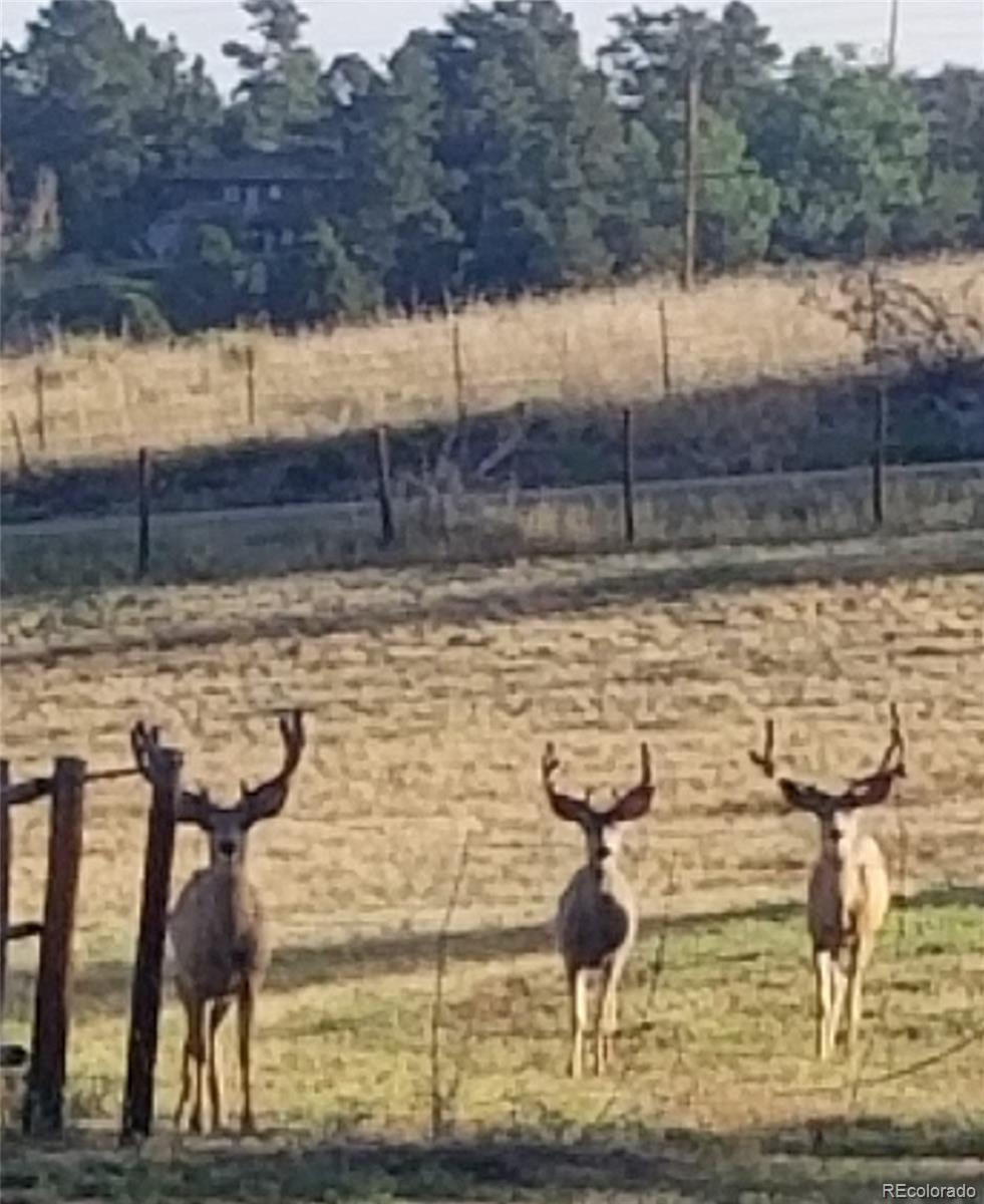 7076 Inspiration Drive Parker, CO 80138 - Photo 44 of 50