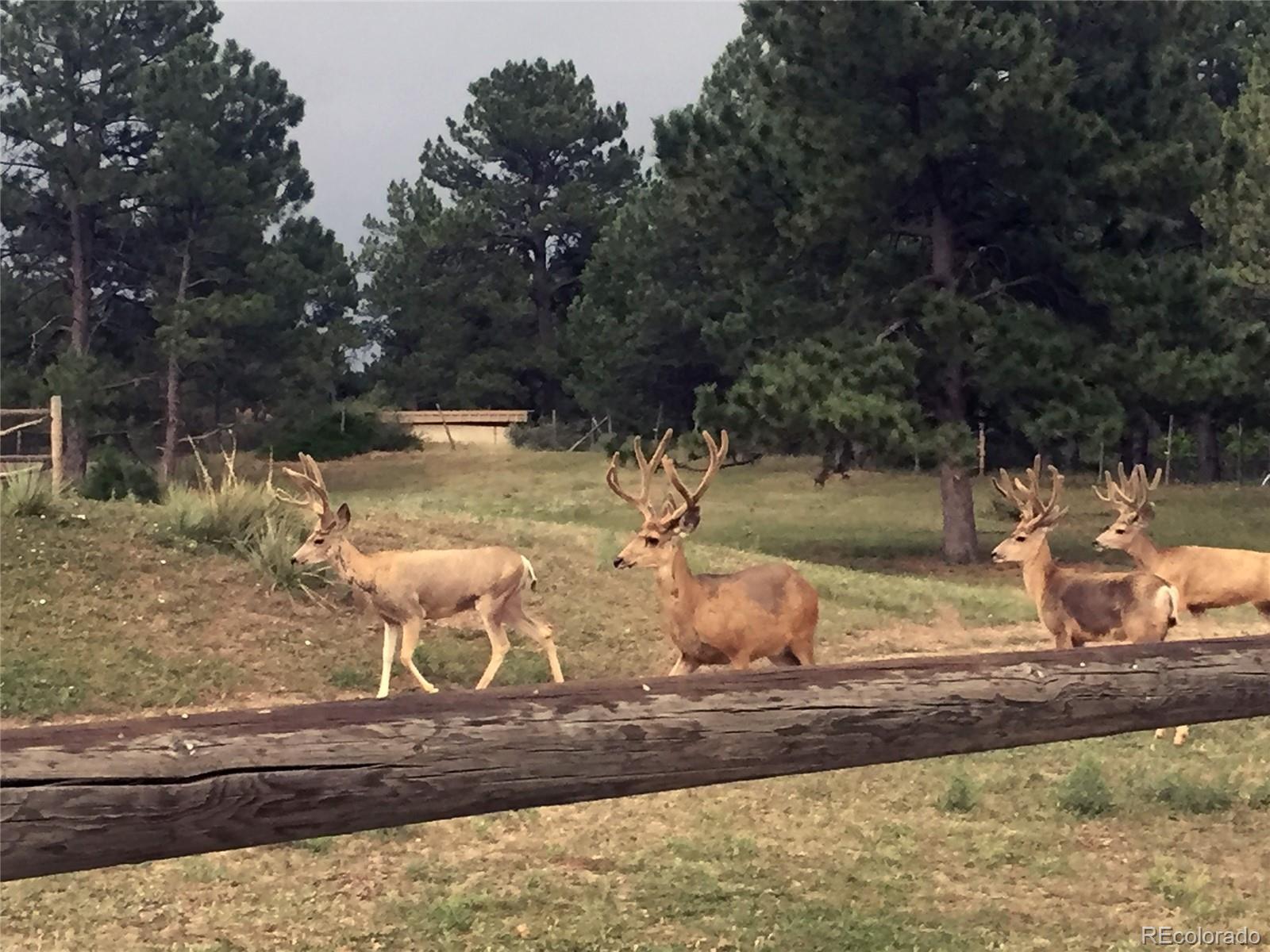 7076 Inspiration Drive Parker, CO 80138 - Photo 8 of 50 a view of a water fountain