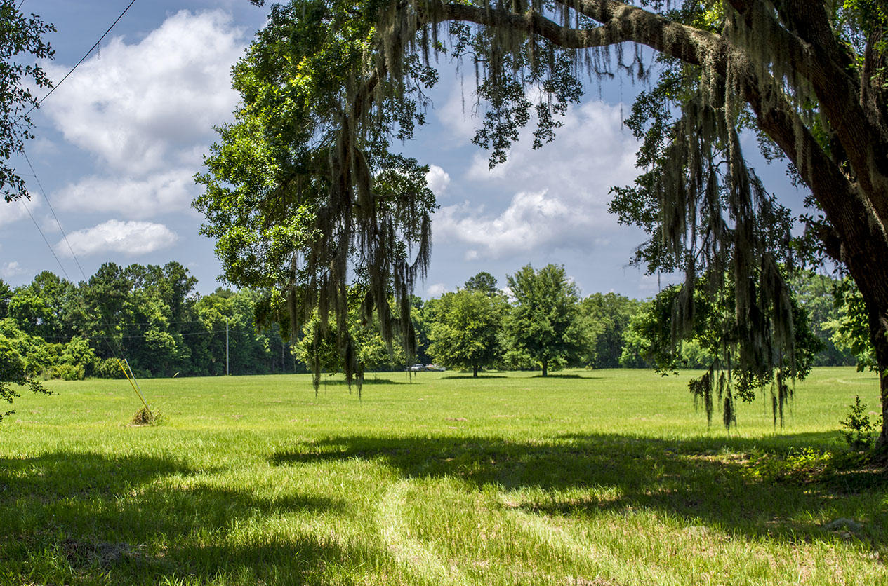 Lot 1 A/2a Clark Road Edisto Island, SC 29438 - Photo 1 of 2 _DSC5331
