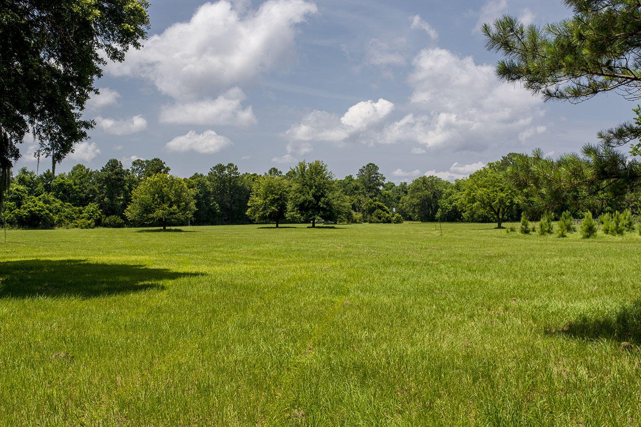 Lot 1 A/2a Clark Road Edisto Island, SC 29438 - Photo 2 of 2 _DSC5329