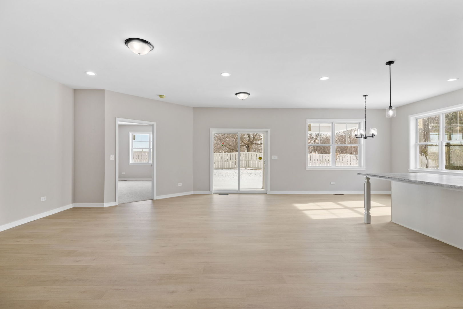 203 Hickory Street Peotone, IL 60468 - Photo 3 of 20 an empty room with windows and entrance