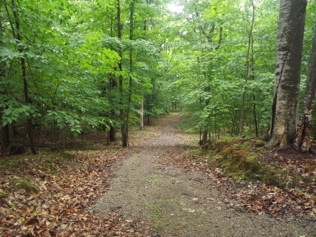 East Mullett Lake Road Indian River, MI 49749 - Photo 12 of 42 Gallery Image 12