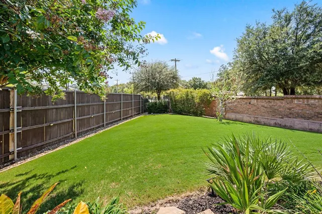 a view of a yard with a large tree