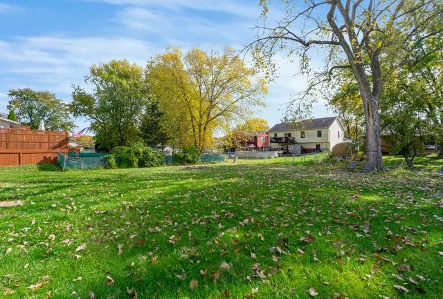 a view of a park with large trees
