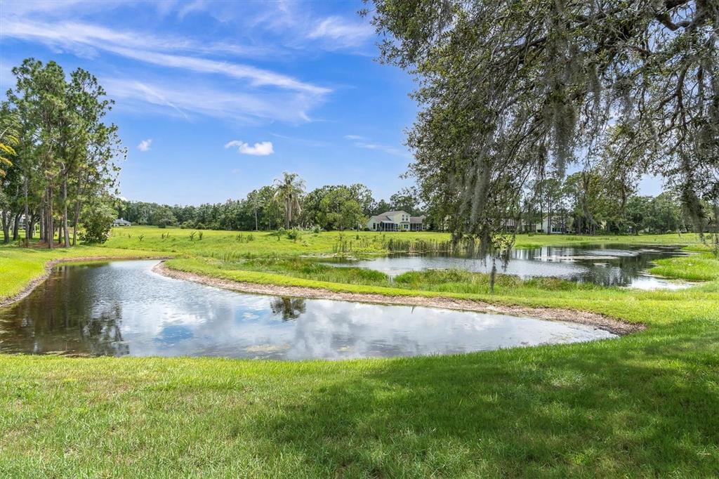 11418 Tee Time Circle New Port Richey, FL 34654 - Photo 36 of 39