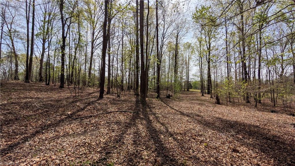 441 Reddie Road Stoneville, NC 27048 - Photo 13 of 18