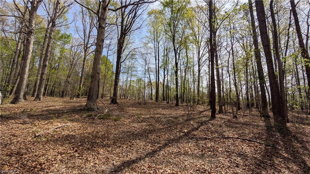 441 Reddie Road Stoneville, NC 27048 - Photo 14 of 18