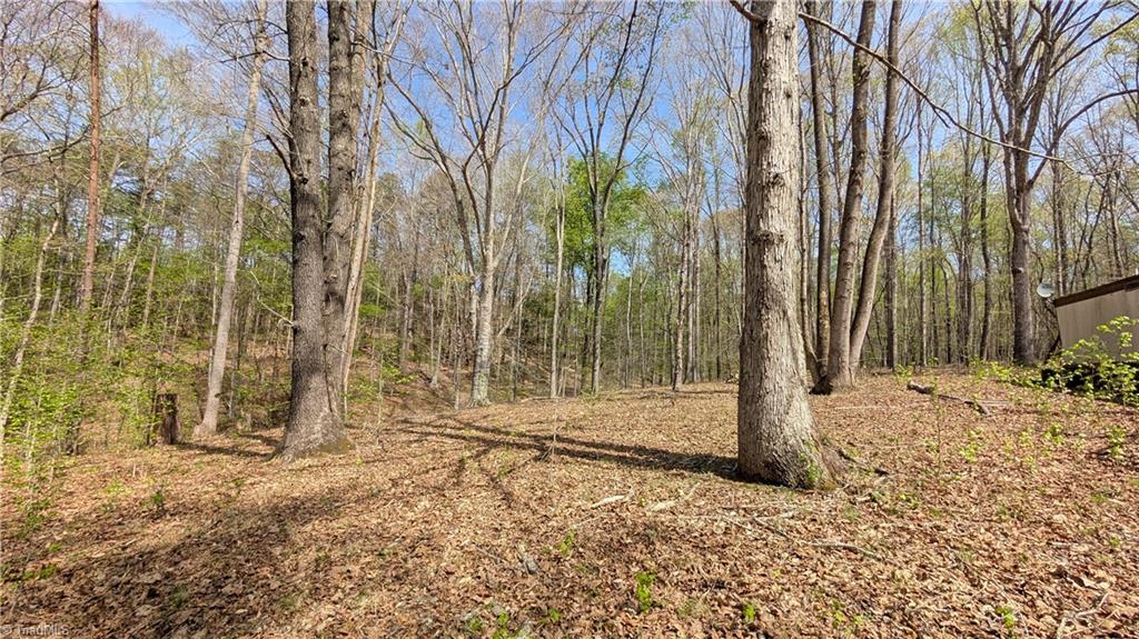 441 Reddie Road Stoneville, NC 27048 - Photo 15 of 18