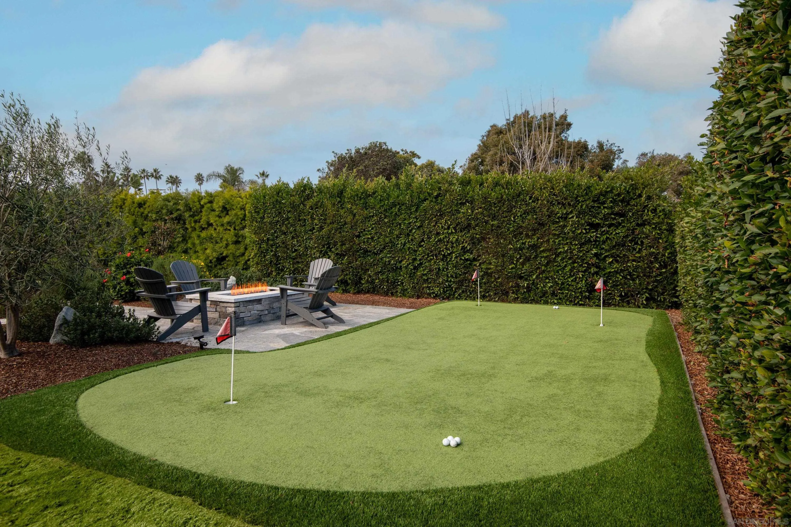 264 24th Street Del Mar, CA 92014 - Photo 26 of 30