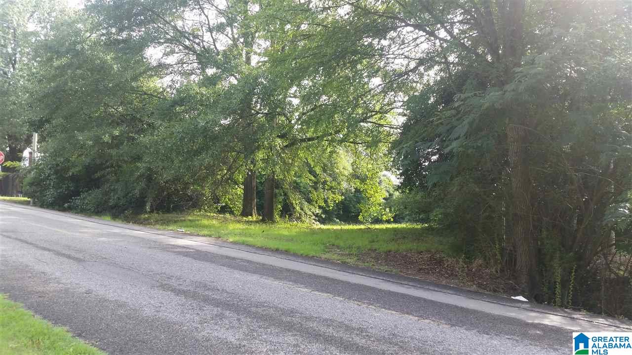 303 Brake Street South, Unit 4 Warrior, AL 35180 - Photo 4 of 6