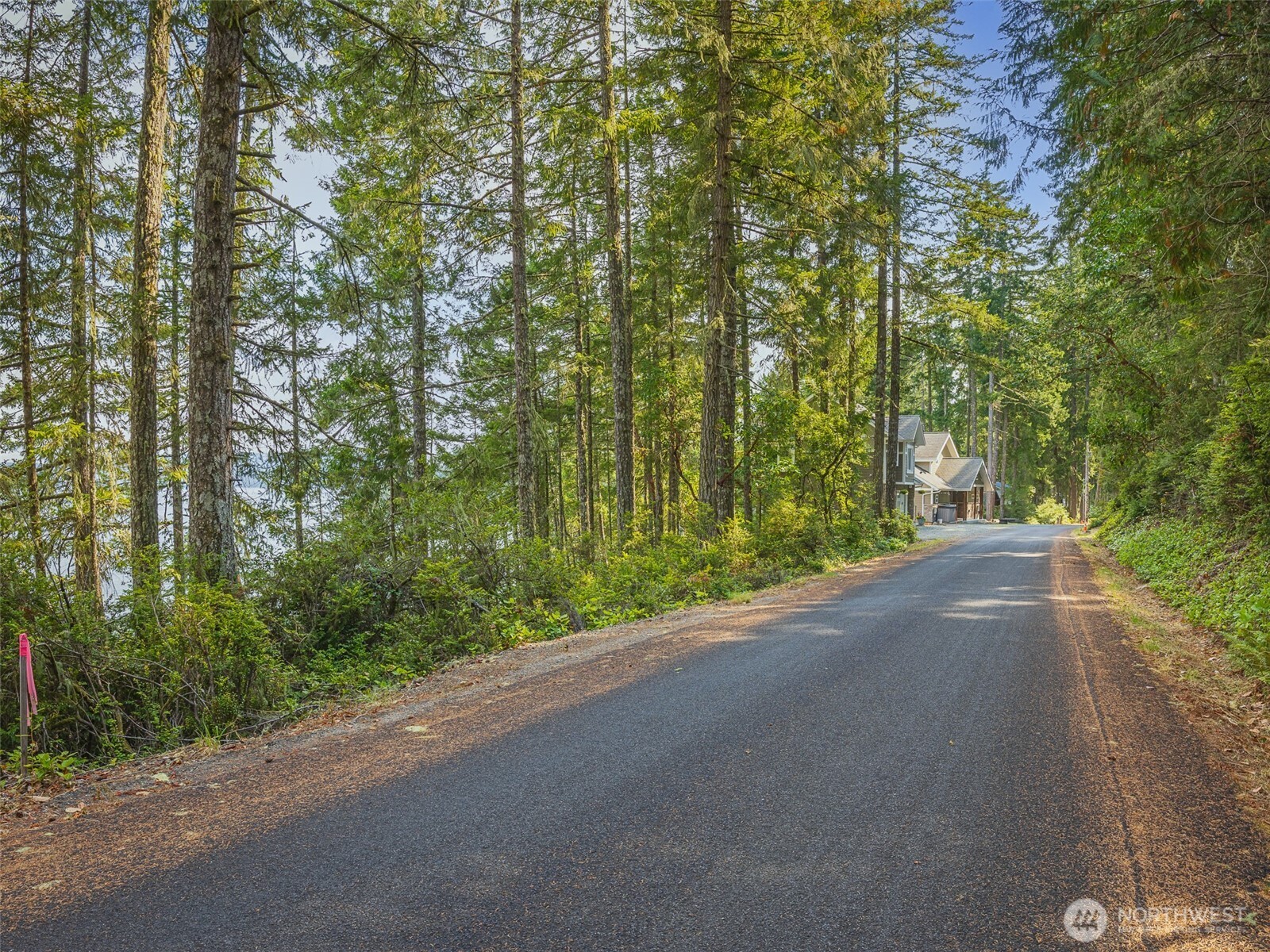 291 Pleasant Harbor Road Brinnon, WA 98320 - Photo 3 of 40 a view of a road with a yard