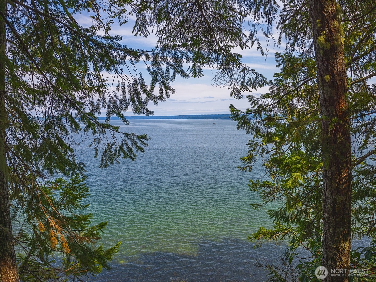291 Pleasant Harbor Road Brinnon, WA 98320 - Photo 4 of 40 a view of a yard with plants and trees