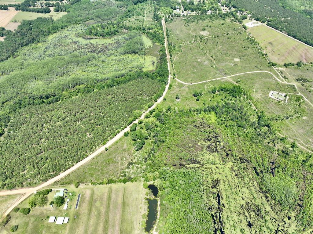 Lot E West Reeves Street Slocomb, AL 36375 - Photo 2 of 3