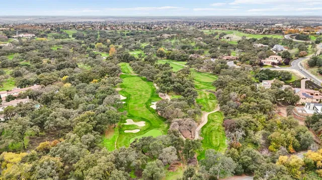 a view of a city with lush green forest