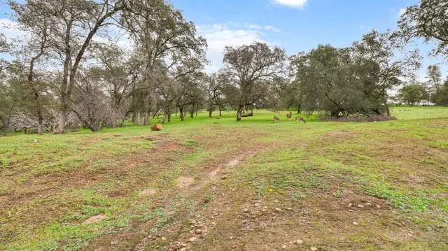 a view of a field with trees in the background