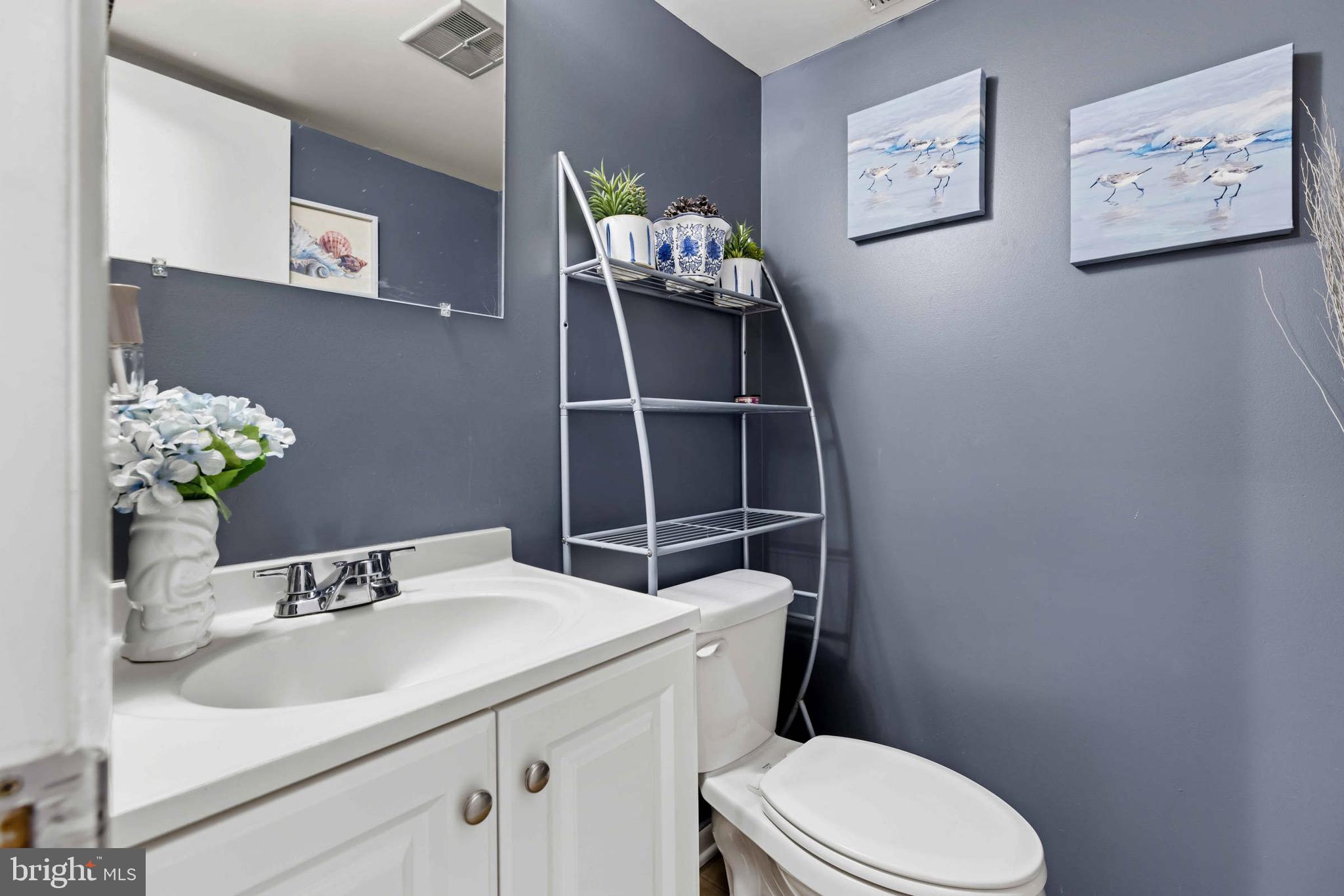 8610 Kelso Terrace Gaithersburg, MD 20877 - Photo 14 of 33 a bathroom with a sink vanity mirror and toilet