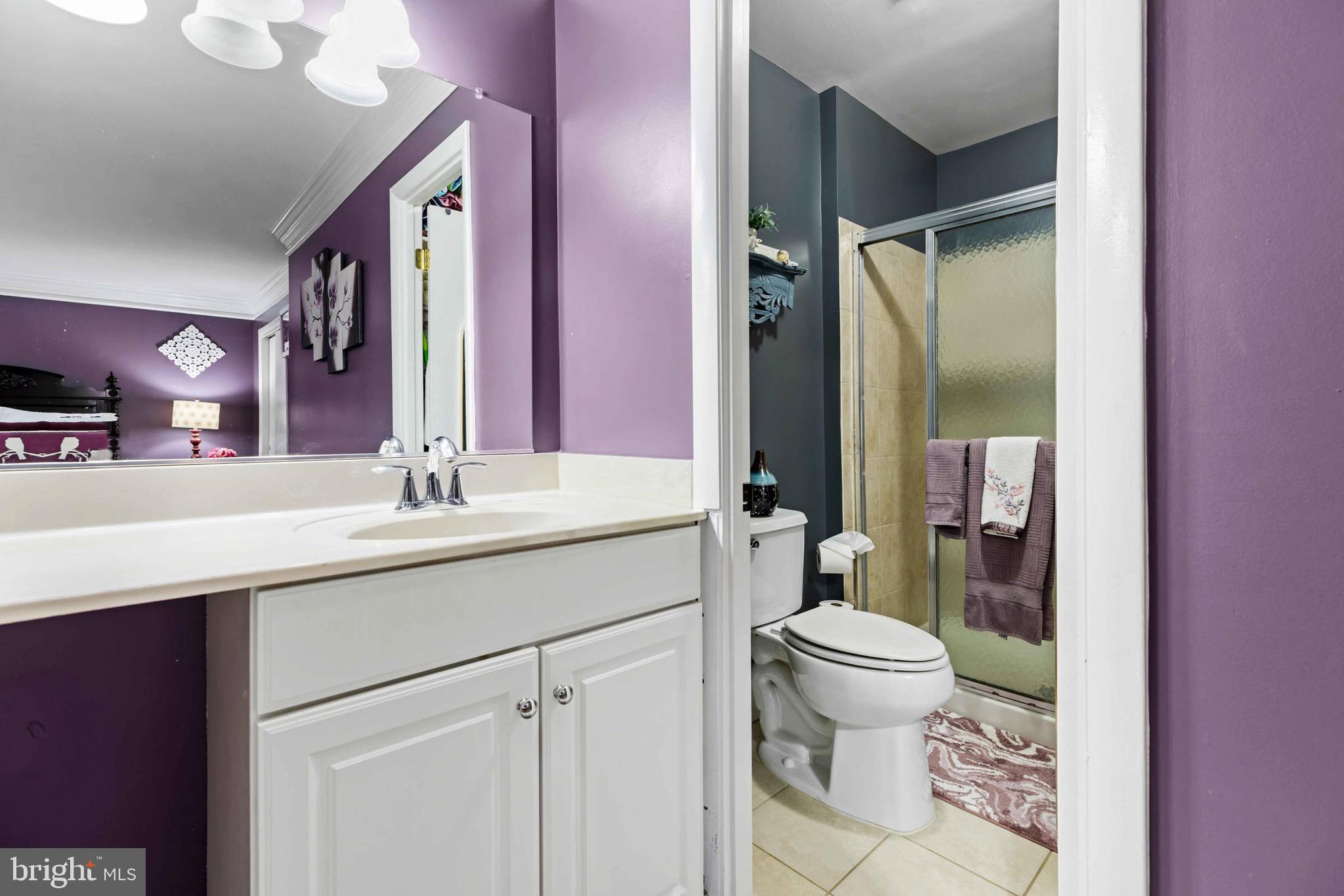 8610 Kelso Terrace Gaithersburg, MD 20877 - Photo 22 of 33 a bathroom with a sink a toilet a mirror and shower