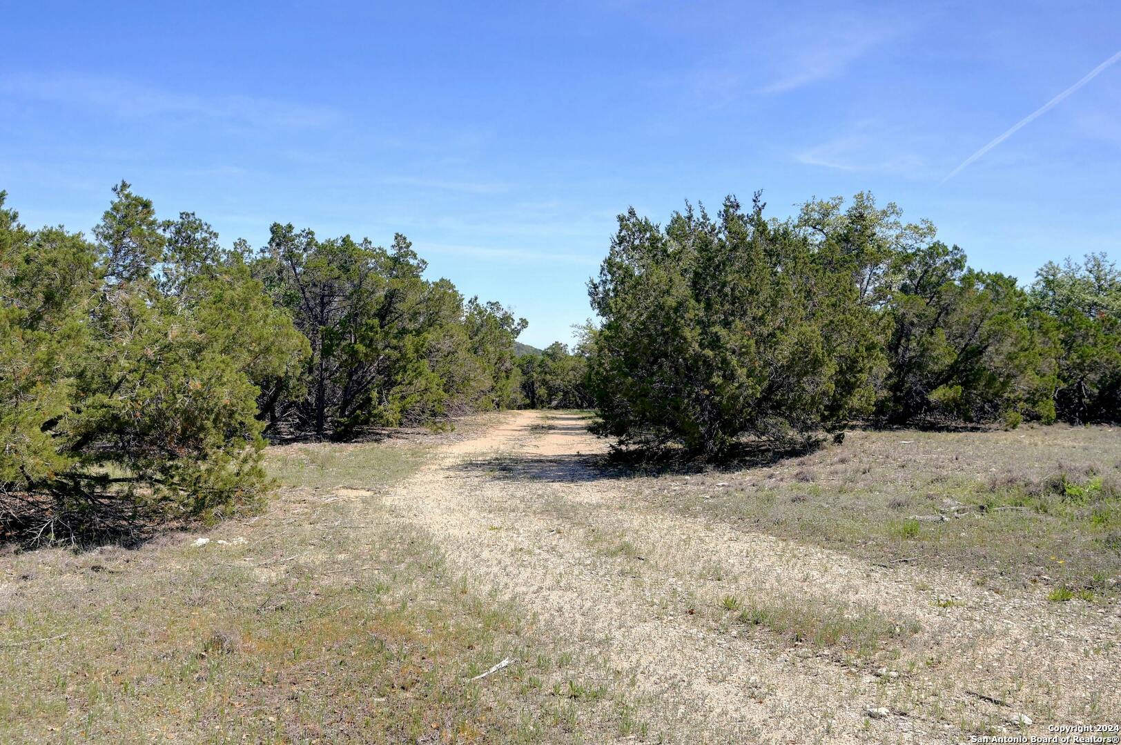 1175 Senisa Way Spring Branch, TX 78070 - Photo 33 of 35