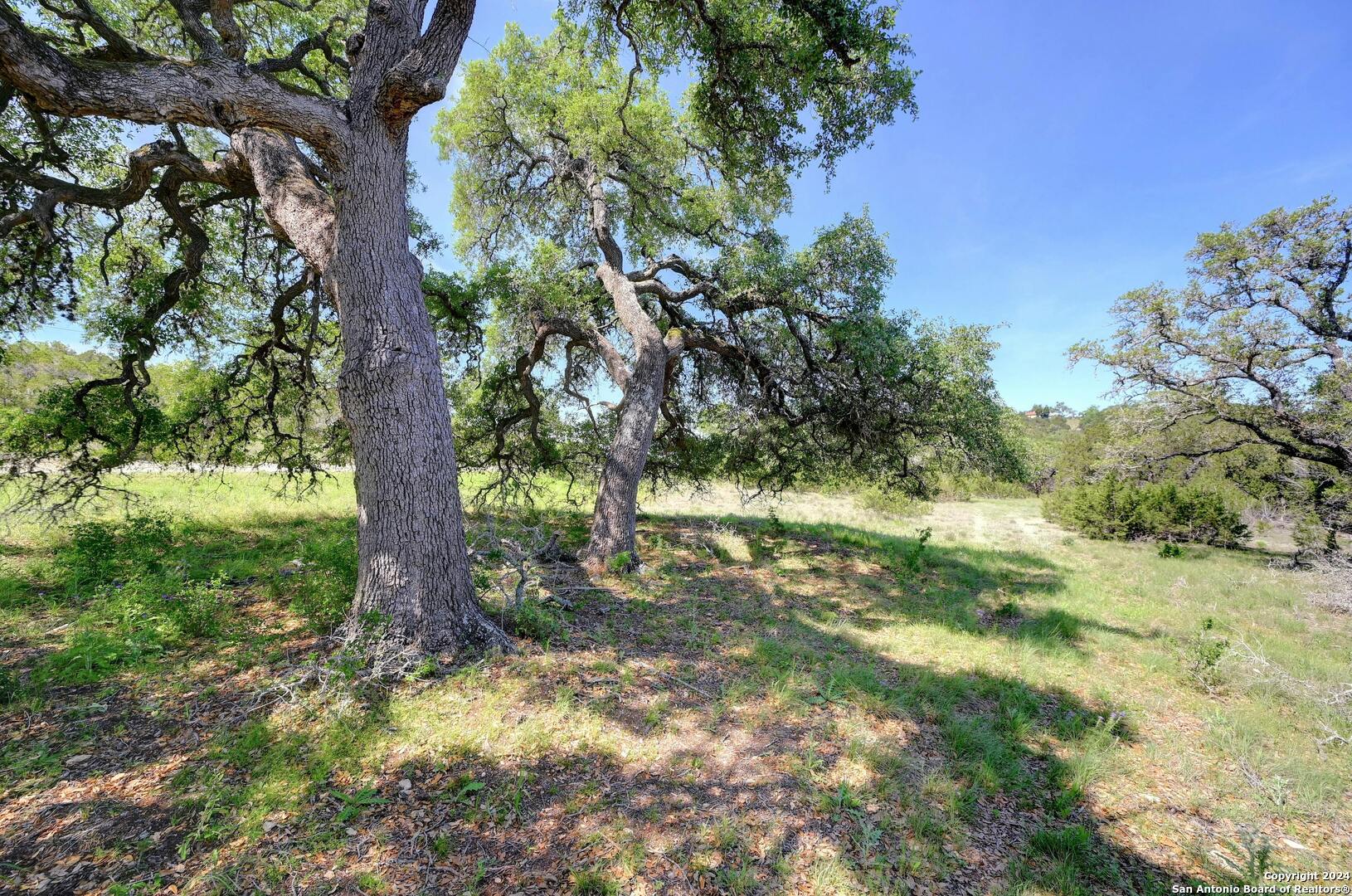 1175 Senisa Way Spring Branch, TX 78070 - Photo 34 of 35