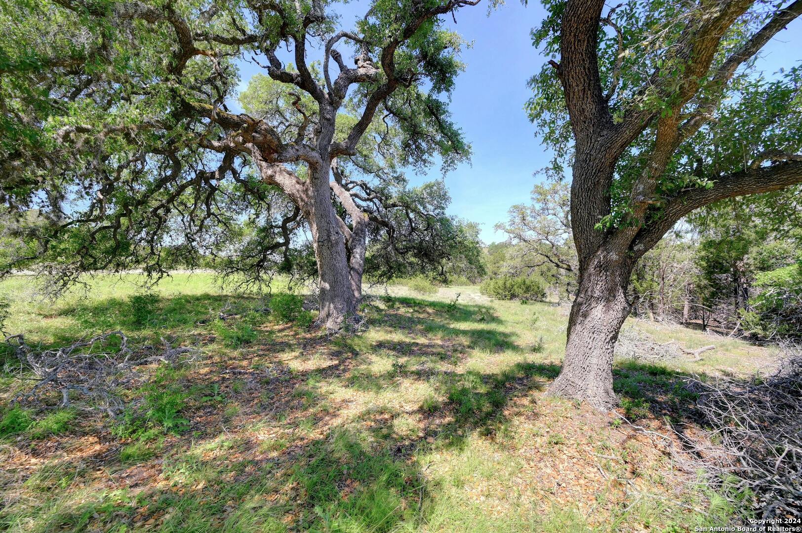 1175 Senisa Way Spring Branch, TX 78070 - Photo 35 of 35